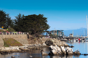 Monterey Bay Half Marathon Course