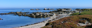 Monterey Half Marathon's Coastal Course